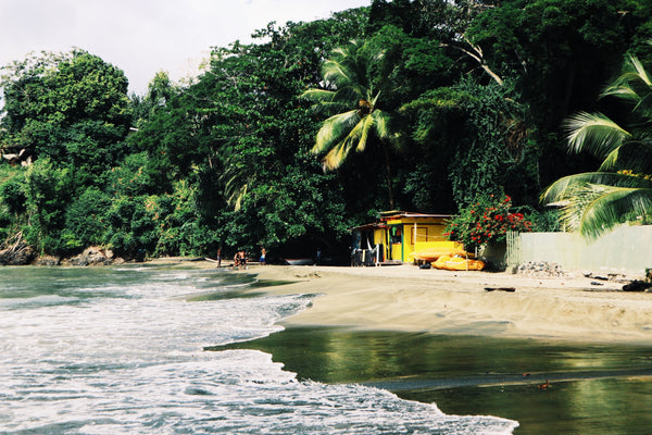 Our Guide to Tobago